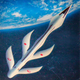 Illustration for article titled The Bulging, Twisty Future, As Imagined by Designer Luigi Colani